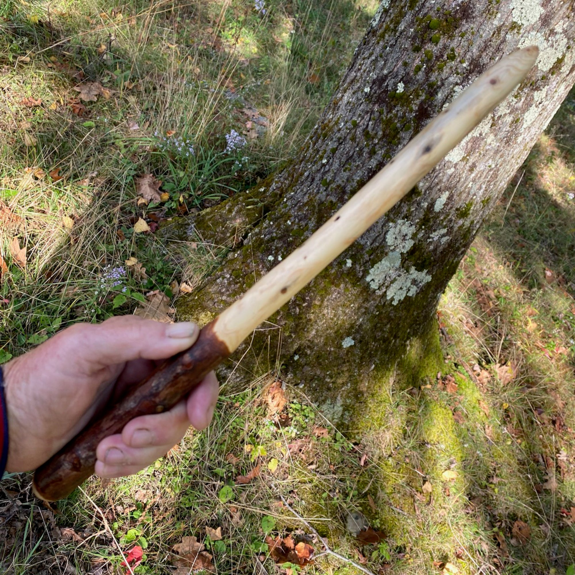 Cedar Wand