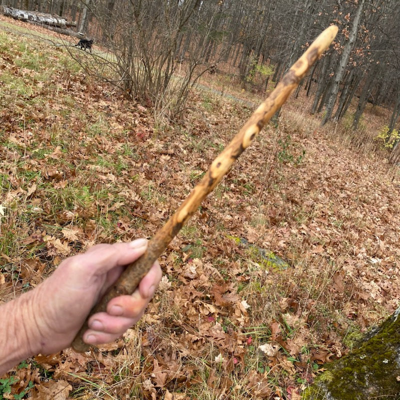 Cottonwood Wand