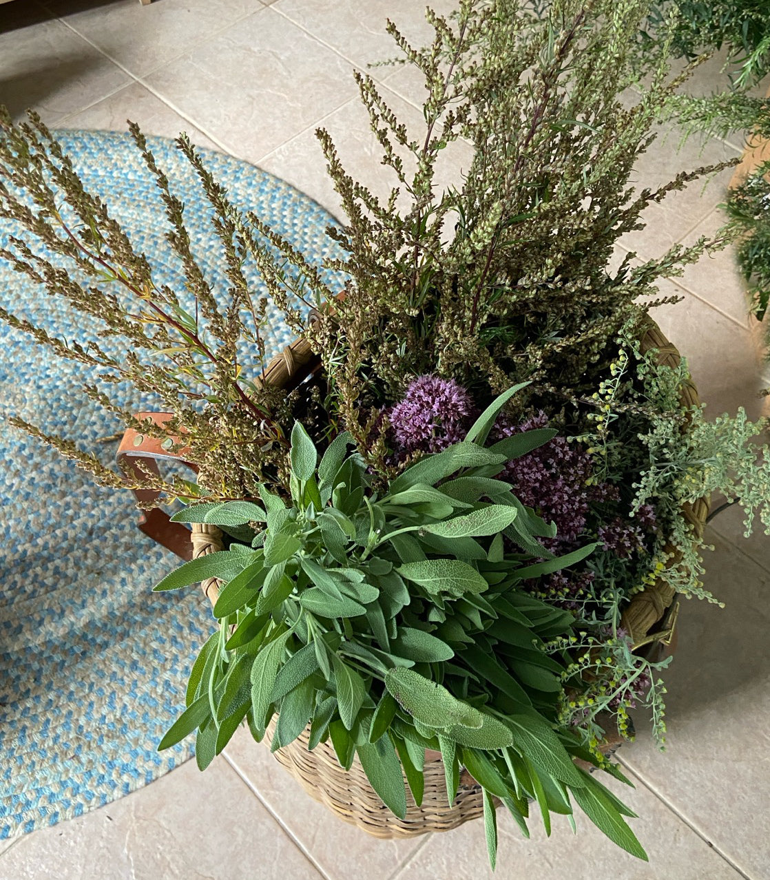 Freshly gathered herbs for bundles