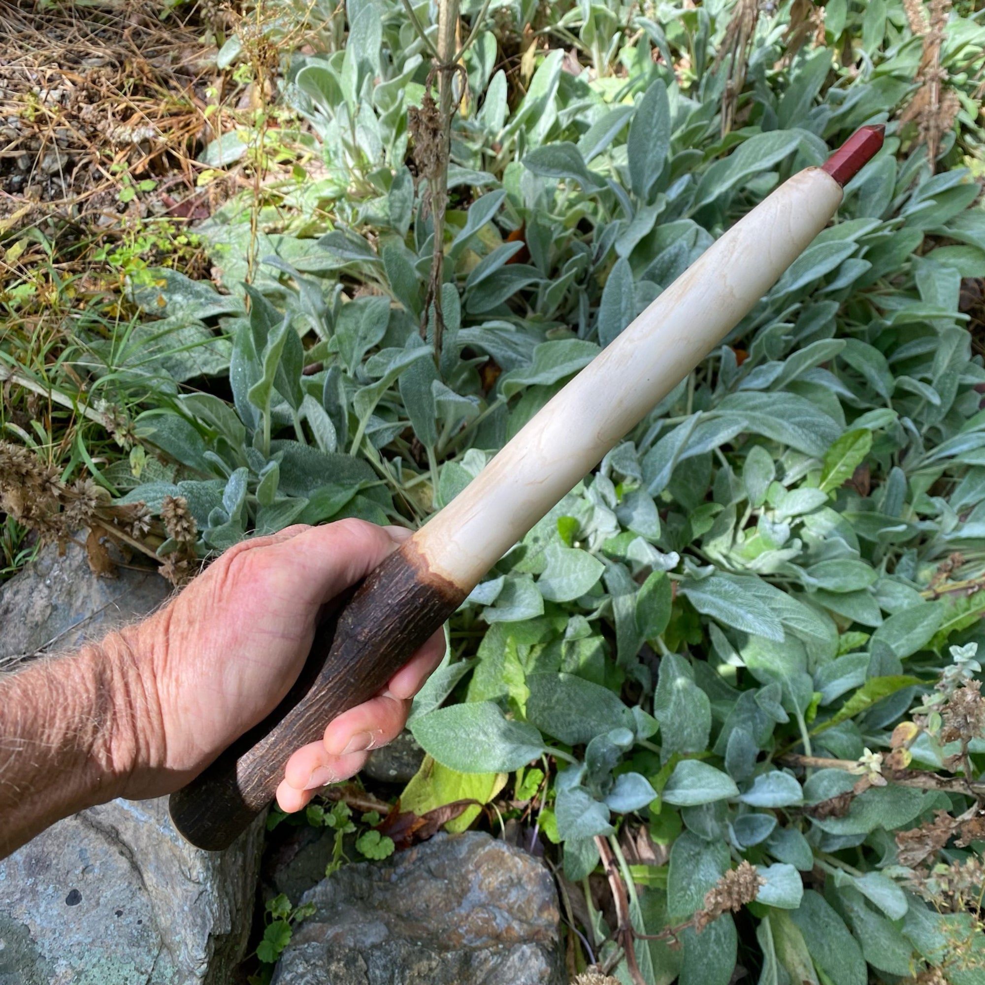 Hickory Wand