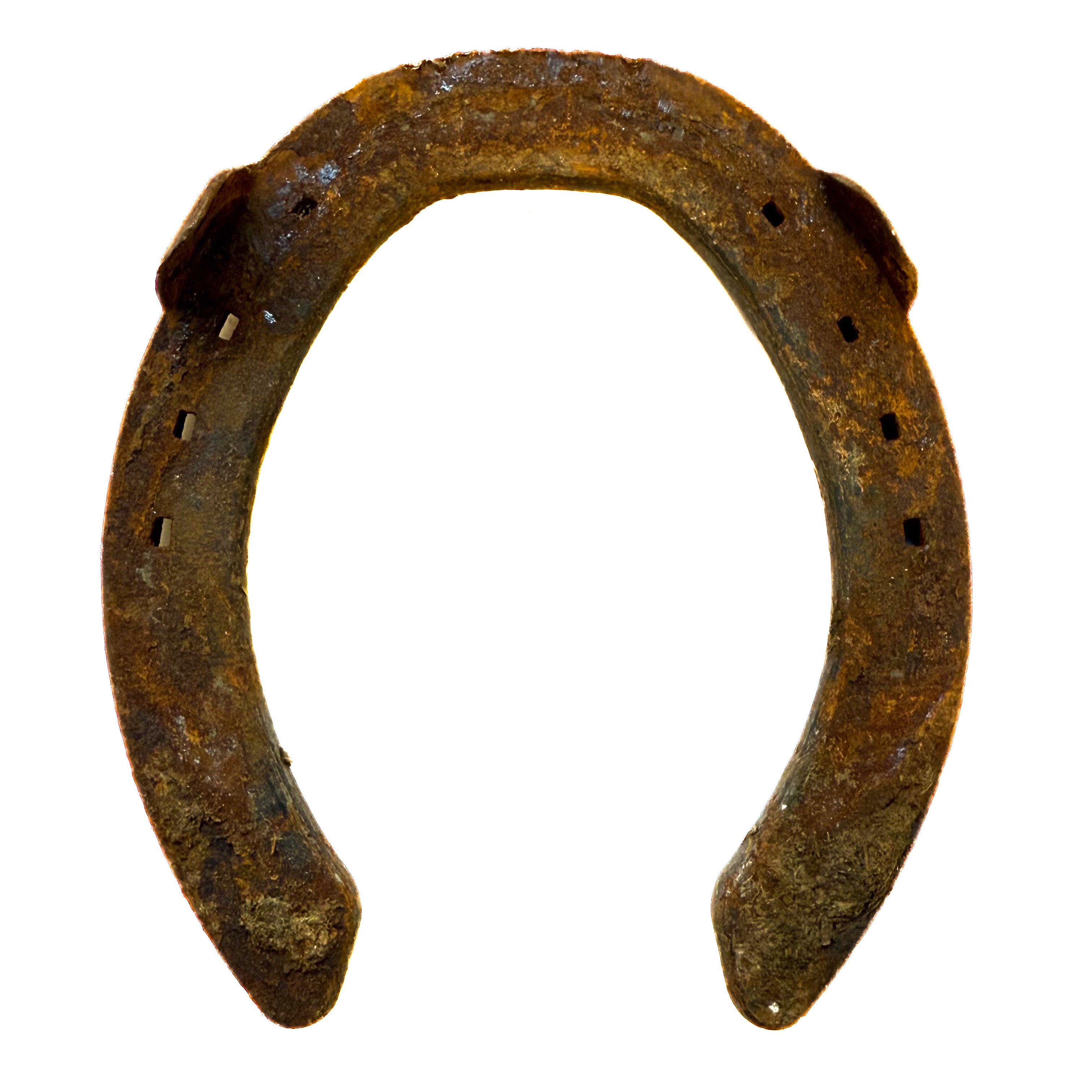 Horseshoe, Authentic Large