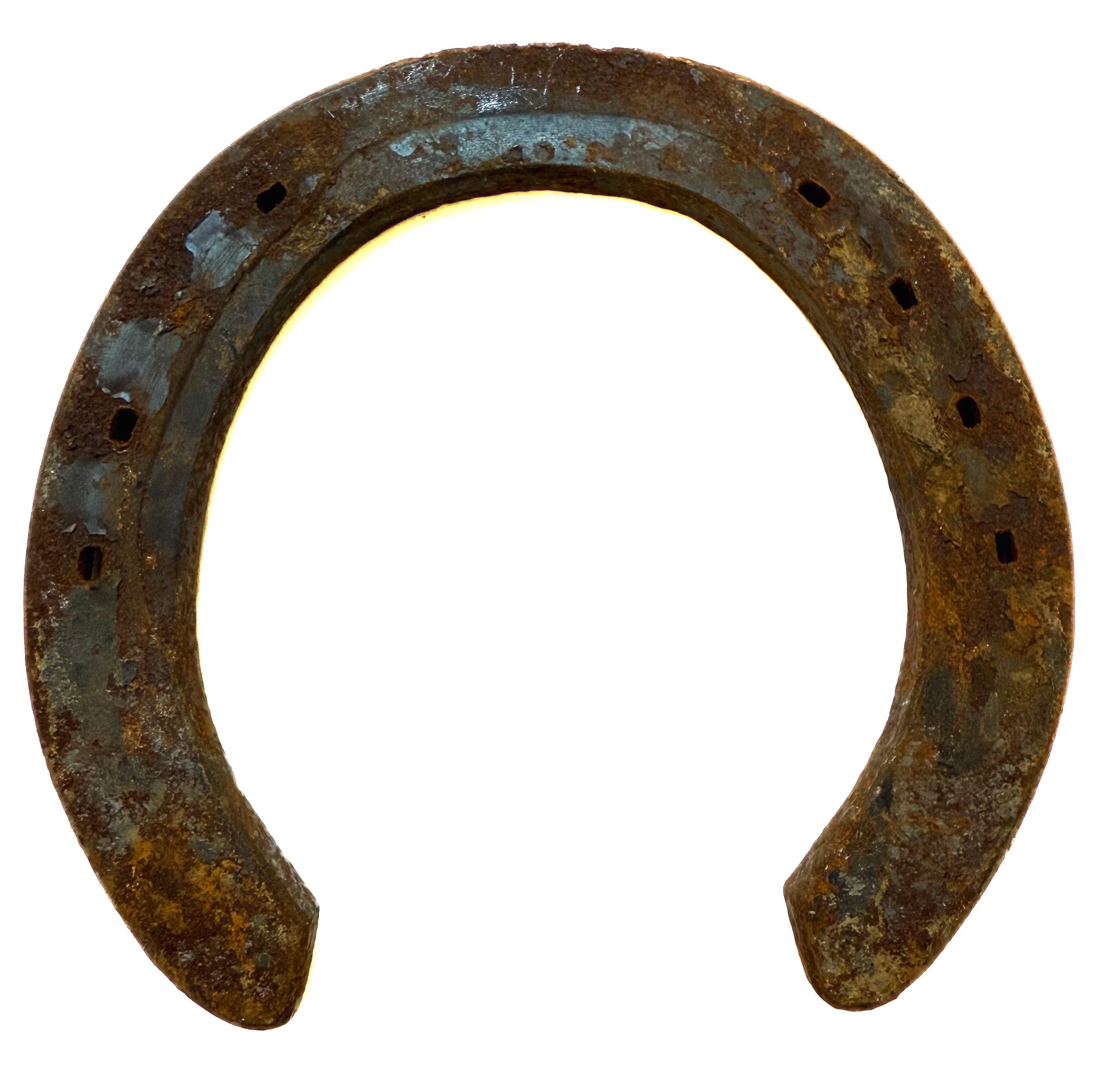 Horseshoe, Authentic Large