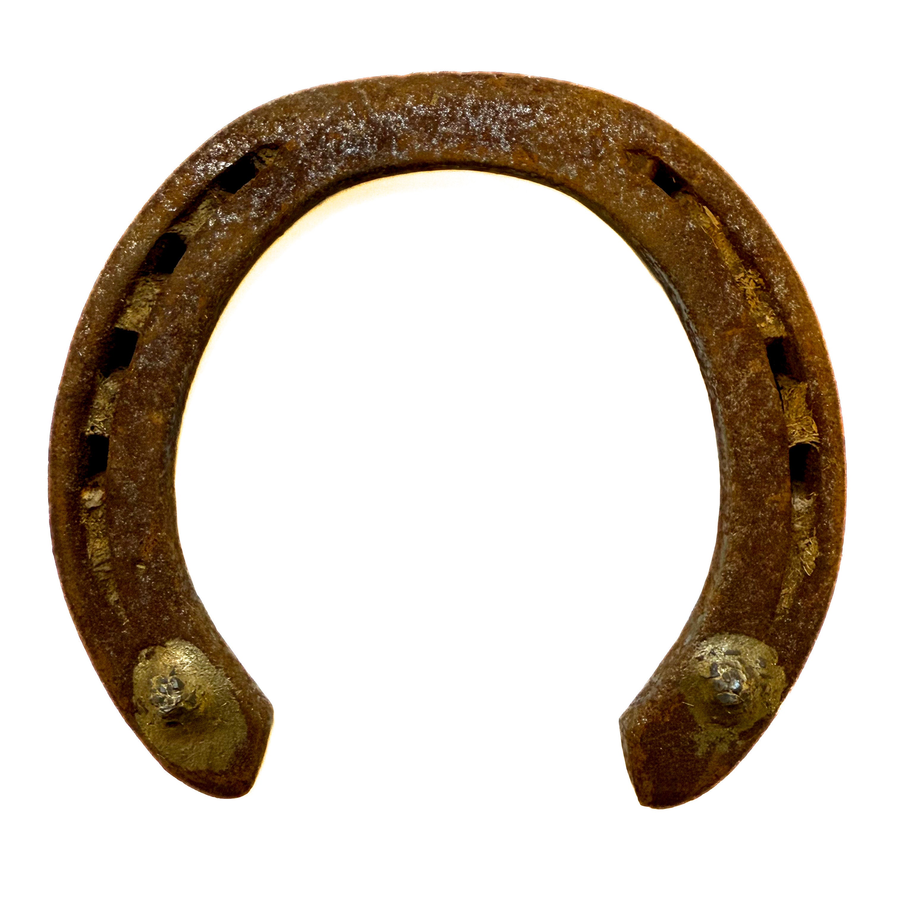 Horseshoe, Authentic Large