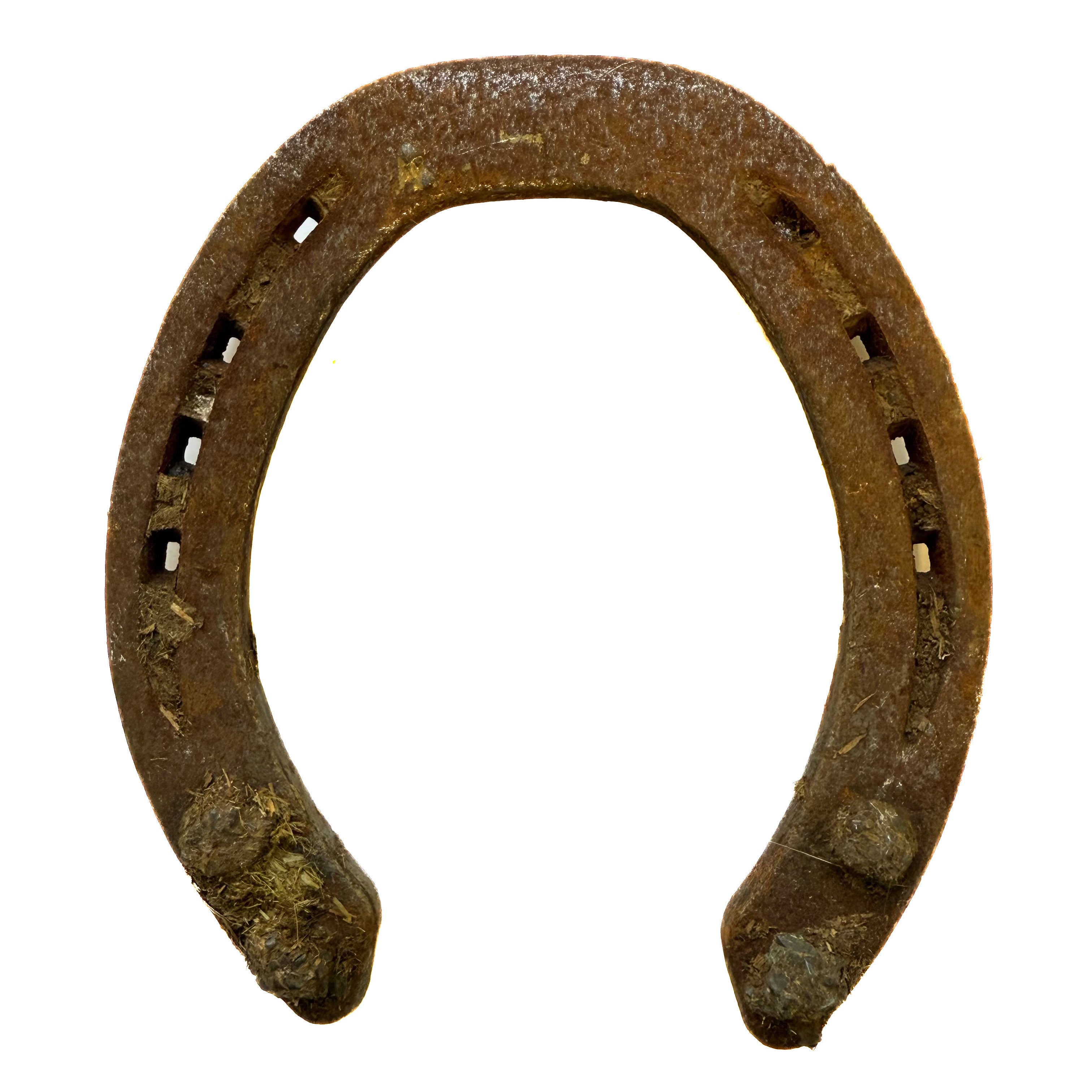 Horseshoe, Authentic Large