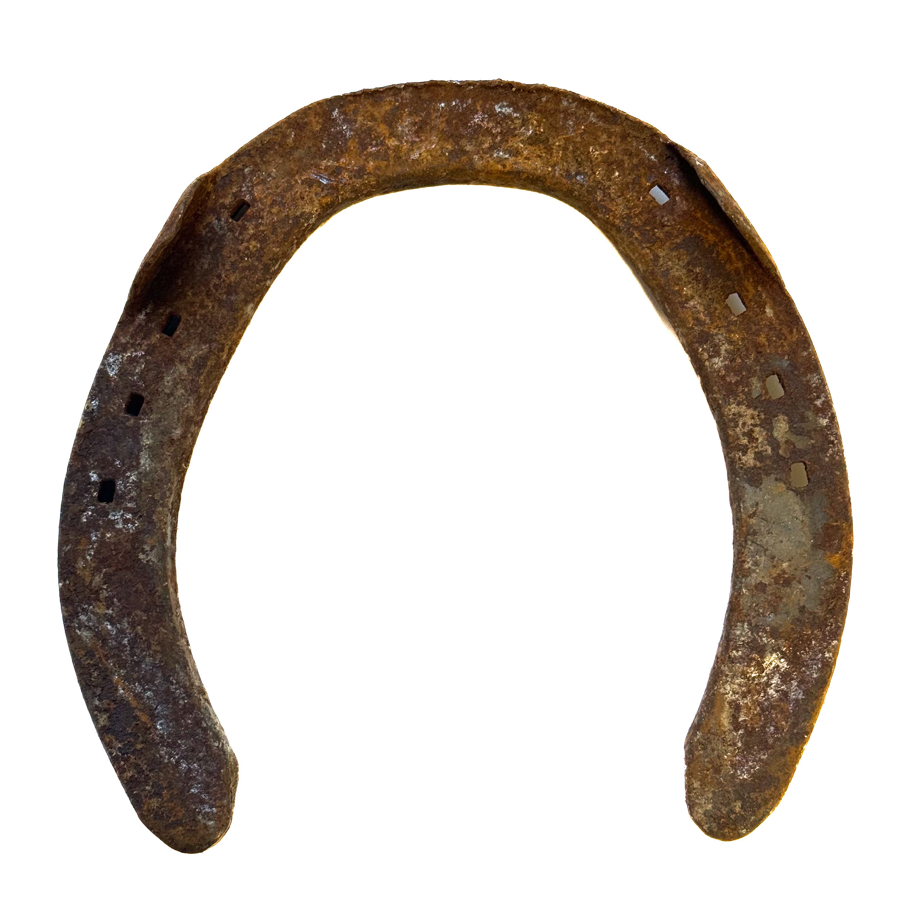 Horseshoe, Authentic Large