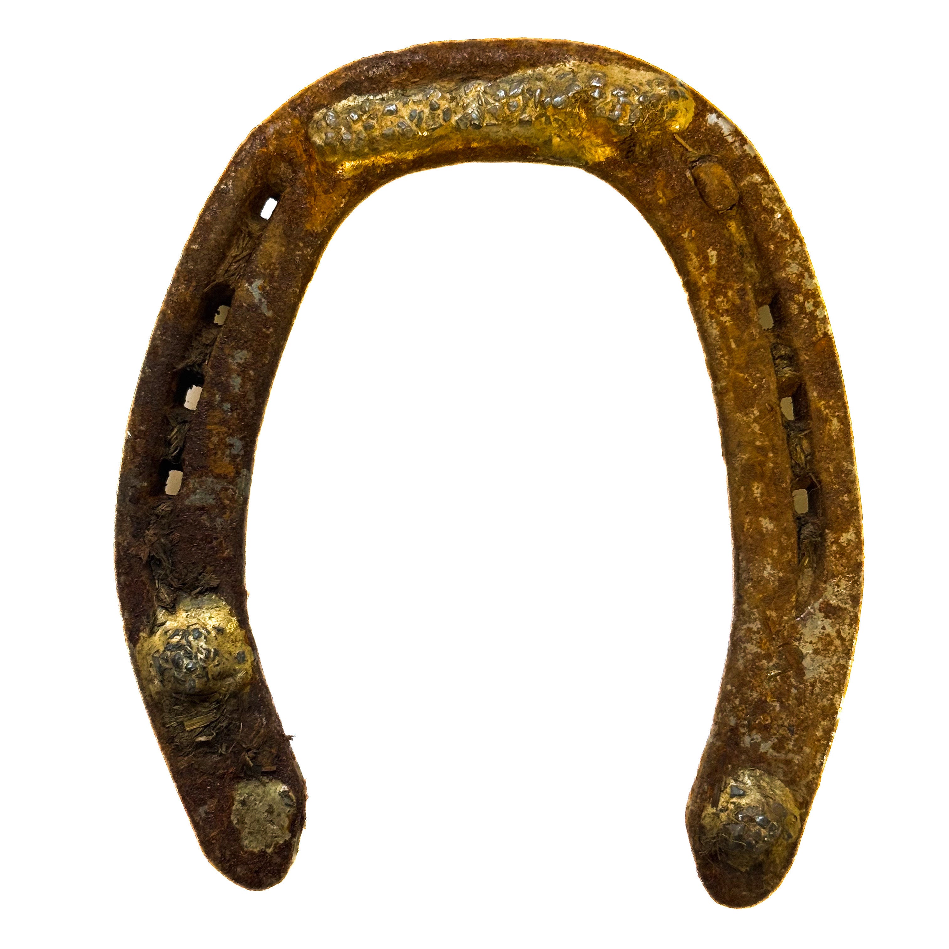 Horseshoe, Authentic Large