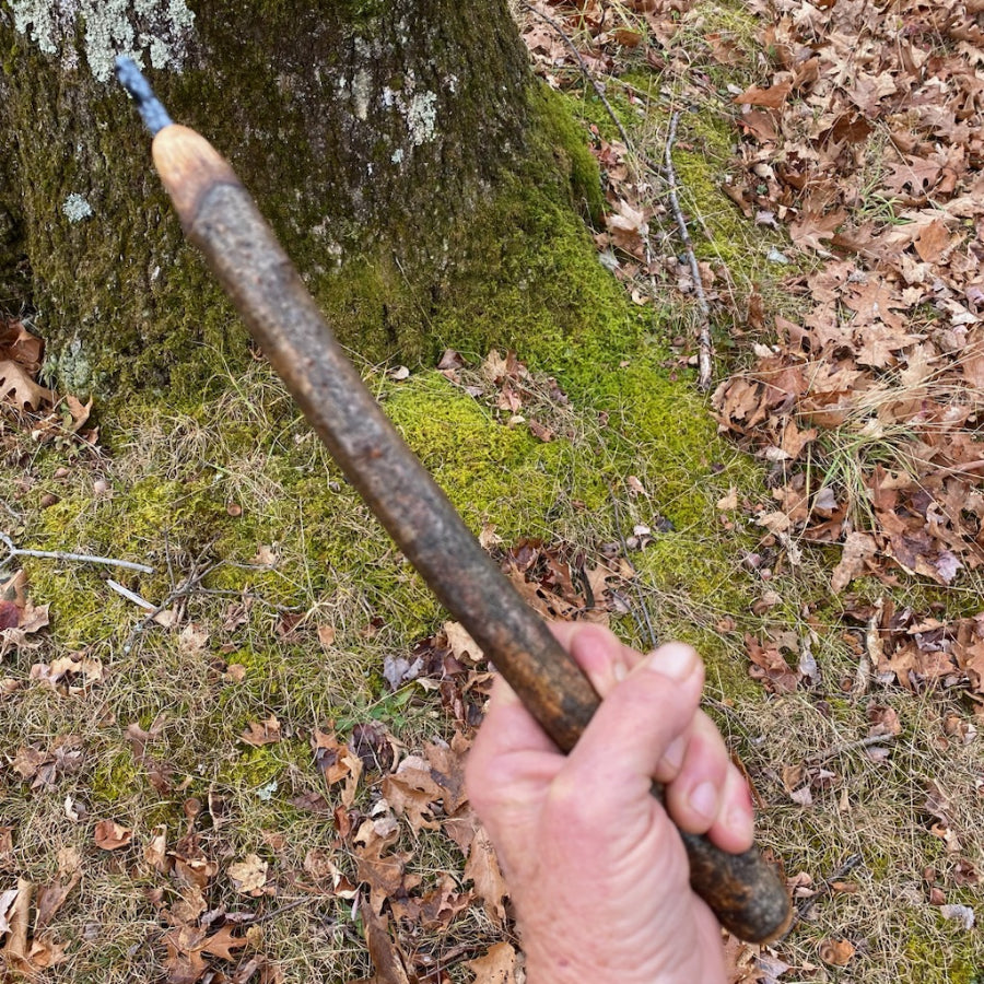 Oak Wand