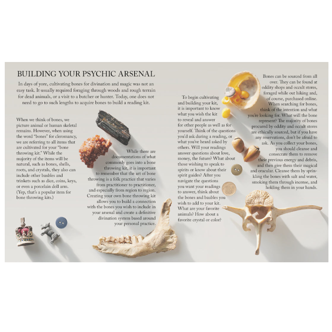 Throwing Bones, Crystals, Stones, and Curios 2302 Weiser Books