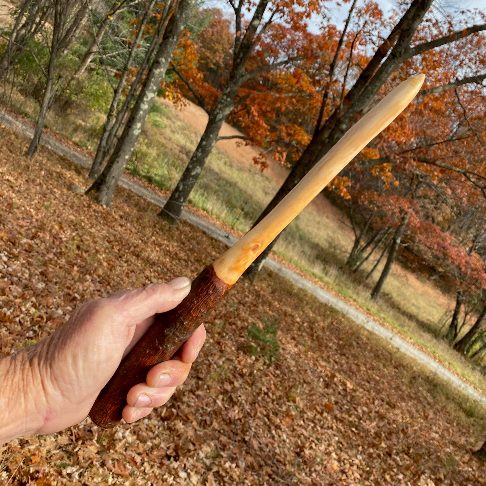 Hickory Wand