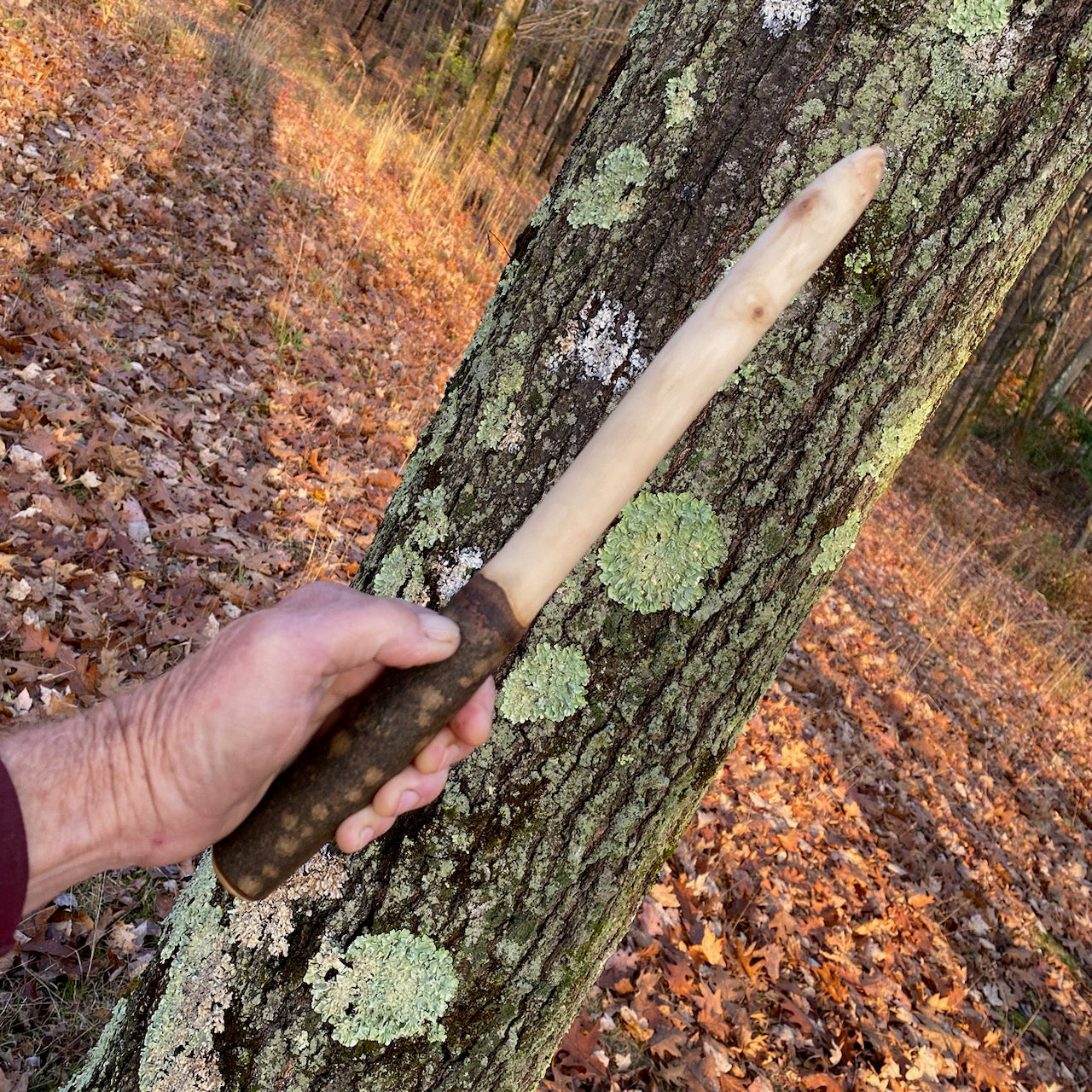 Sugar Maple Wand