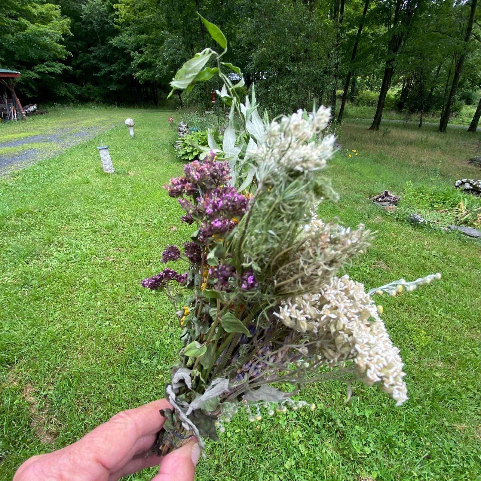 Freshly made Witches Herb Bundle