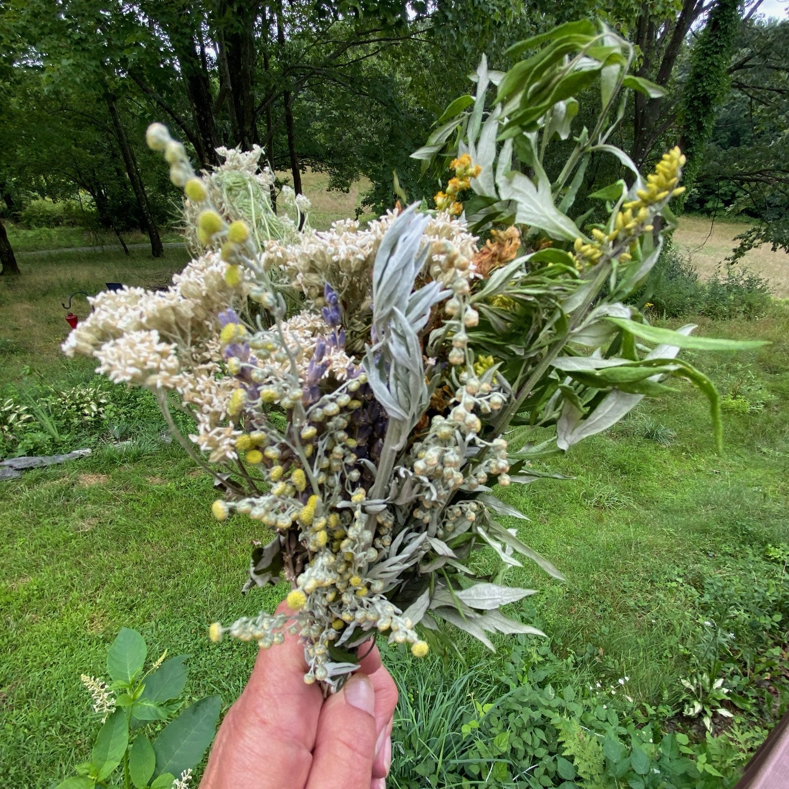 Freshly made Witches Herb Bundle