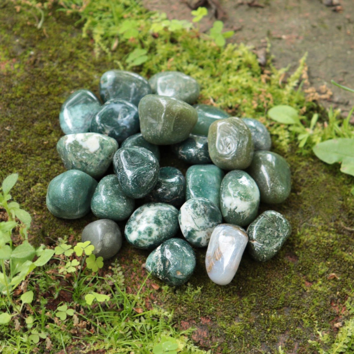 Agate Green Moss Tumbled Stone - 13 Moons