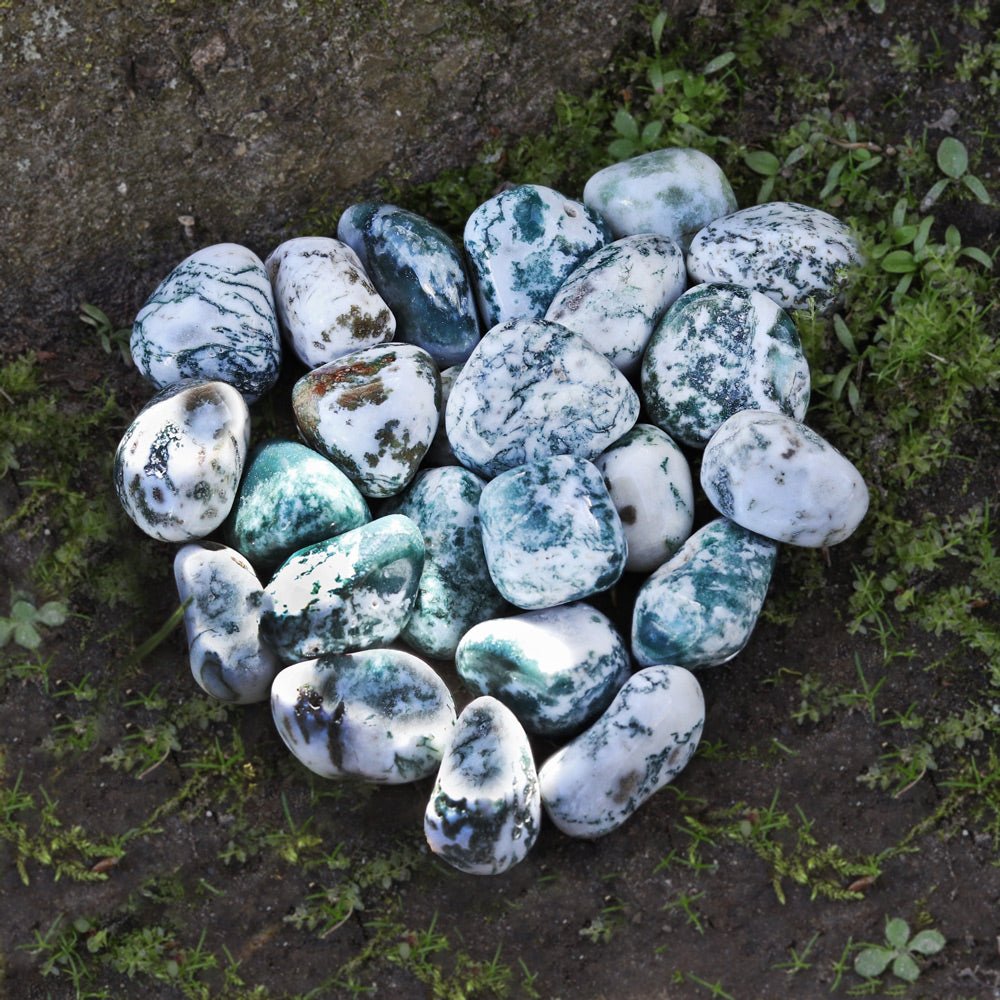 Agate, Tree Tumbled Stone - 13 Moons