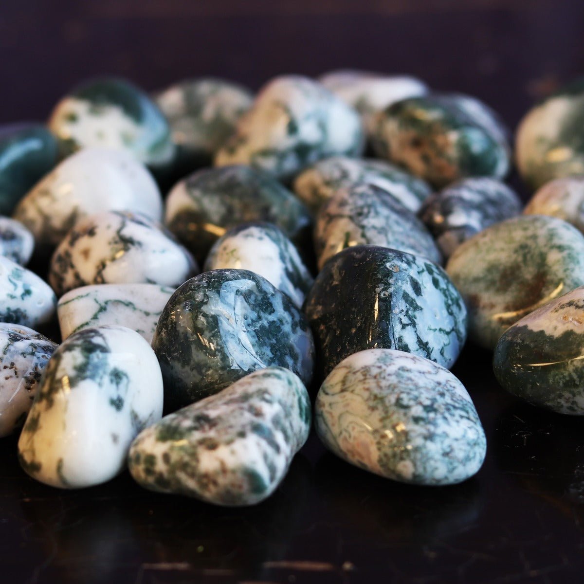 Agate, Tree Tumbled Stone - 13 Moons