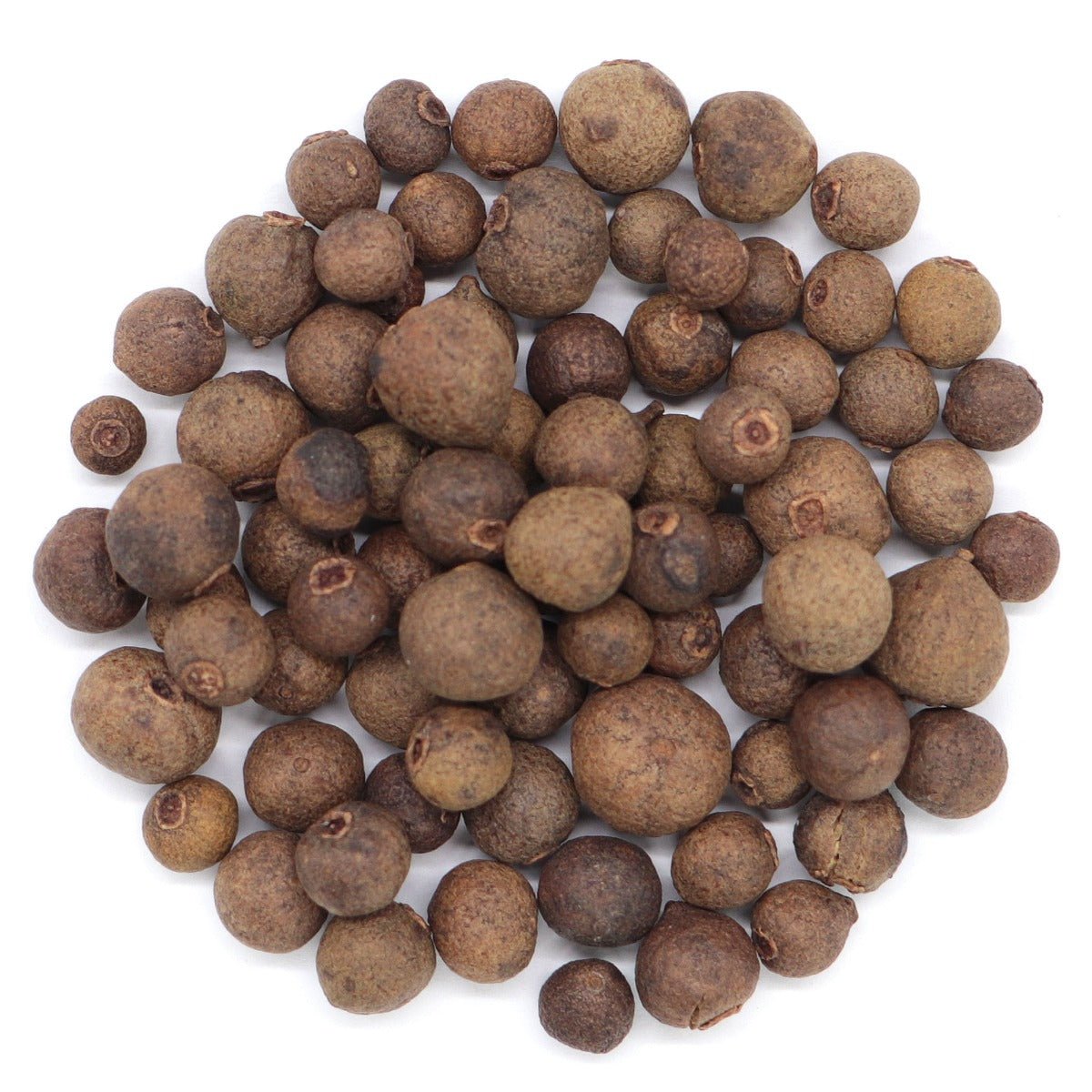 Allspice Berries - 13 Moons