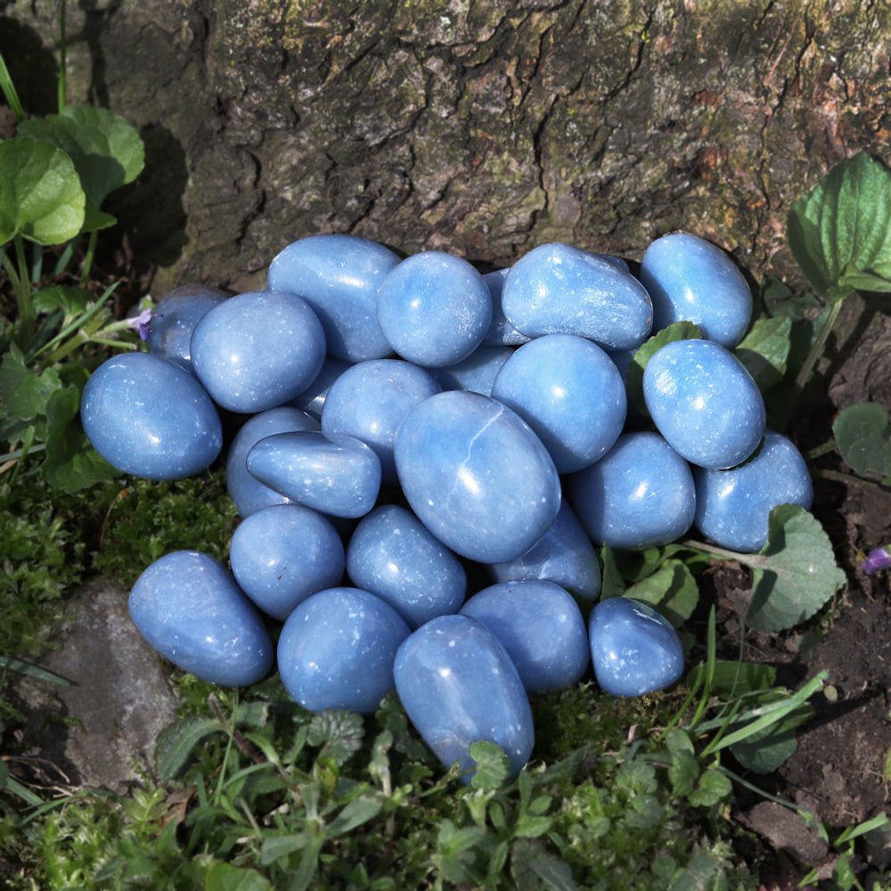 Angelite Tumbled Stone - 13 Moons