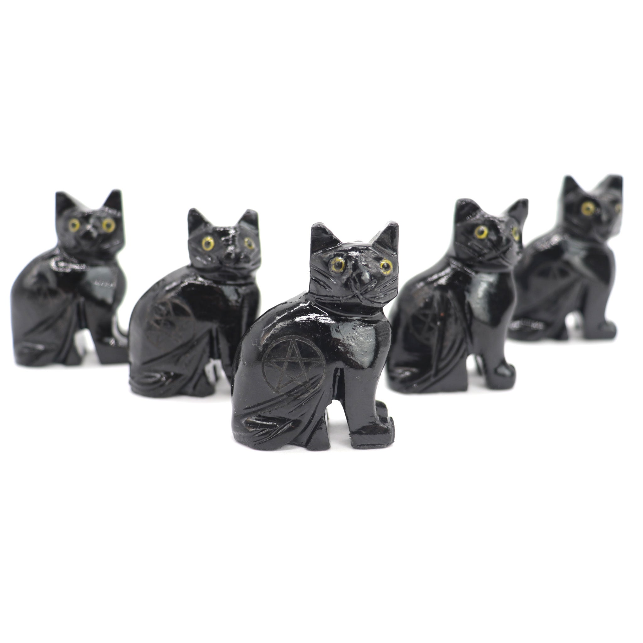 Black Onyx Pentacle Cat - 13 Moons