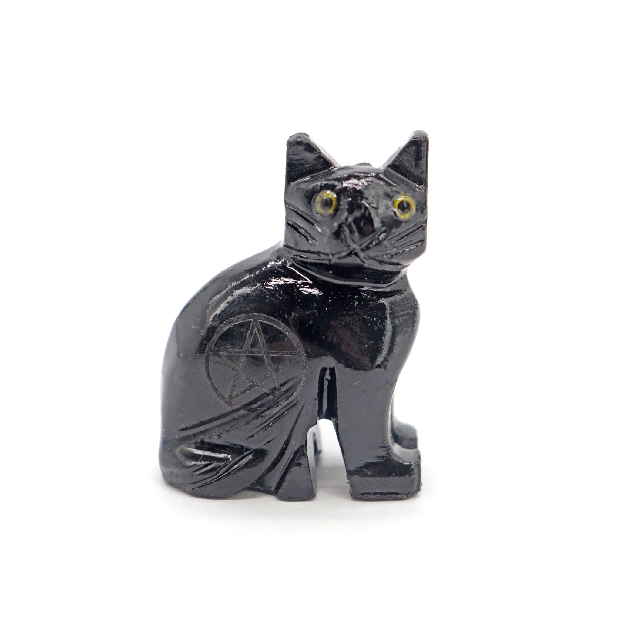 Black Onyx Pentacle Cat - 13 Moons