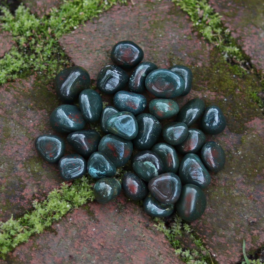 Bloodstone Tumbled Stone - 13 Moons