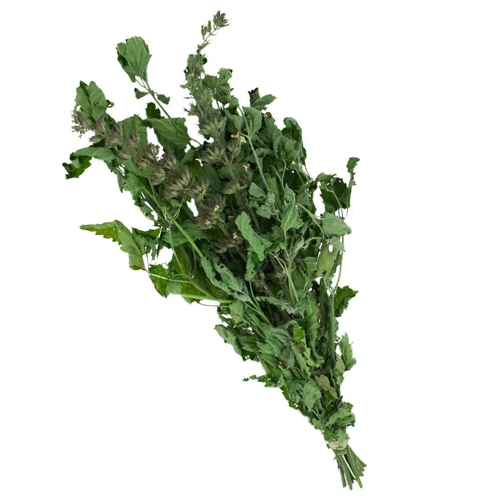 Catnip Herb Bundle - 13 Moons