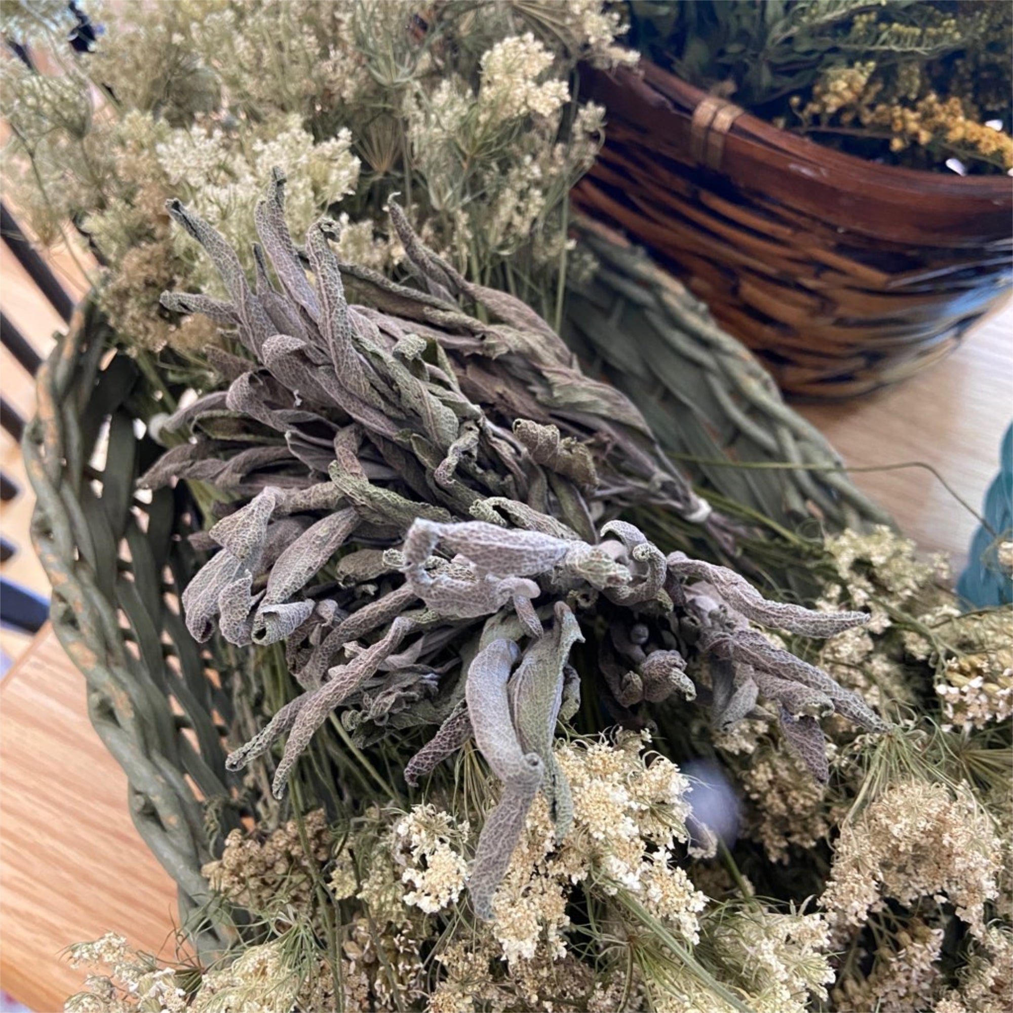 Garden Sage Bundle - 13 Moons