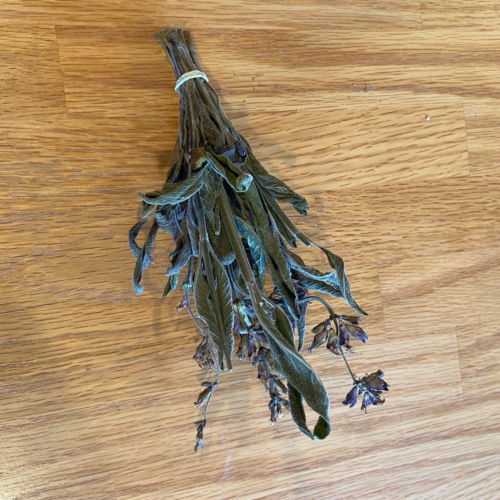 Garden Sage Bundle - 13 Moons