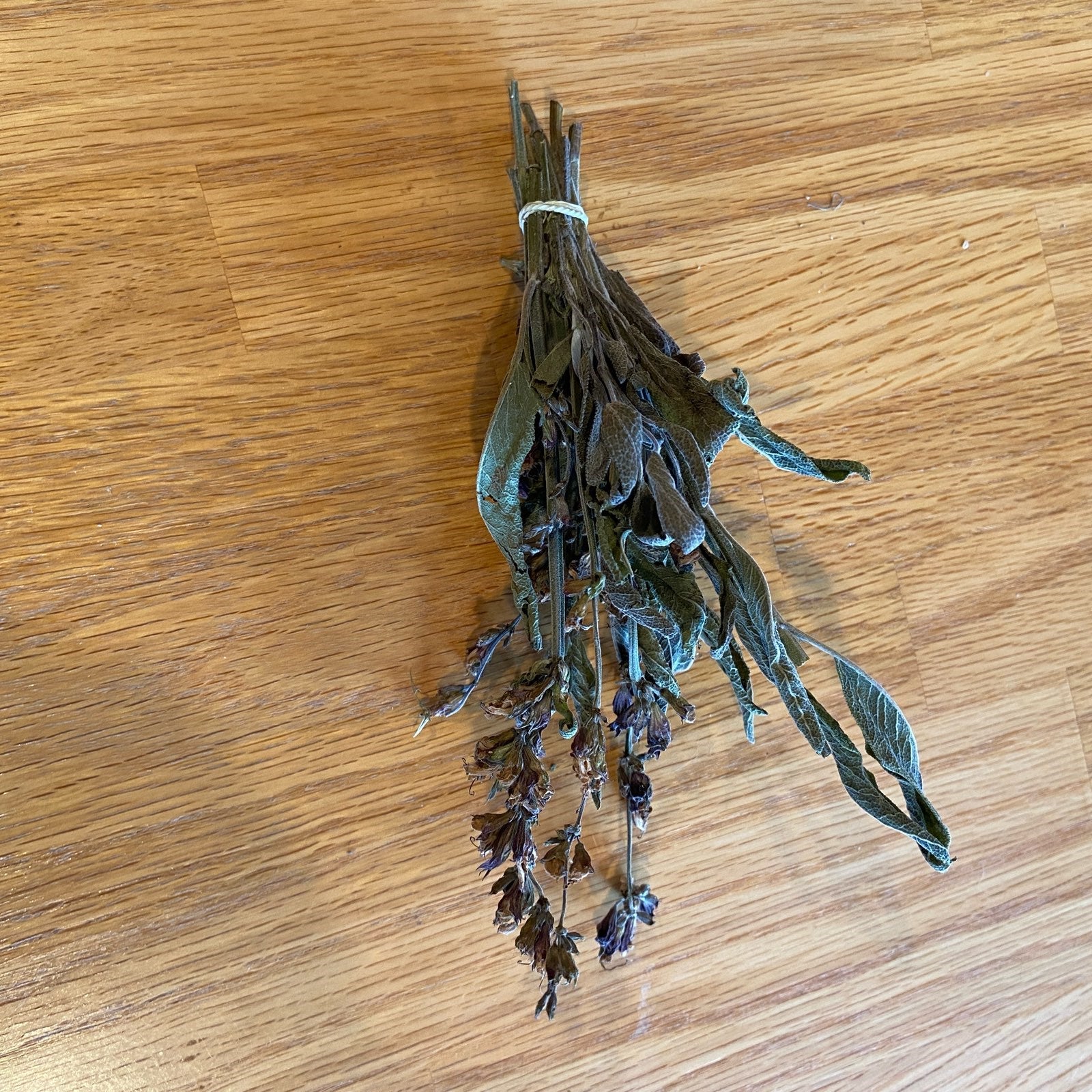 Garden Sage Bundle with flower buds