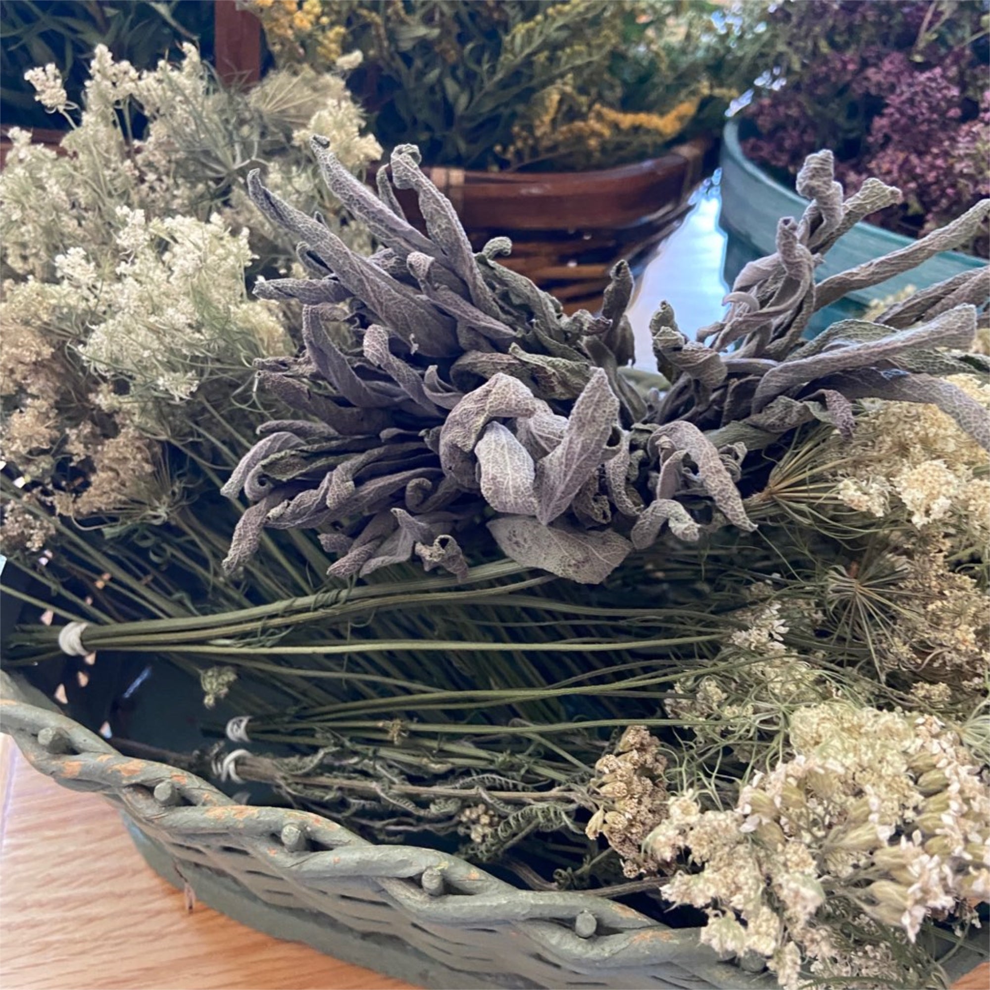 Garden Sage Bundle in basket with other herbs