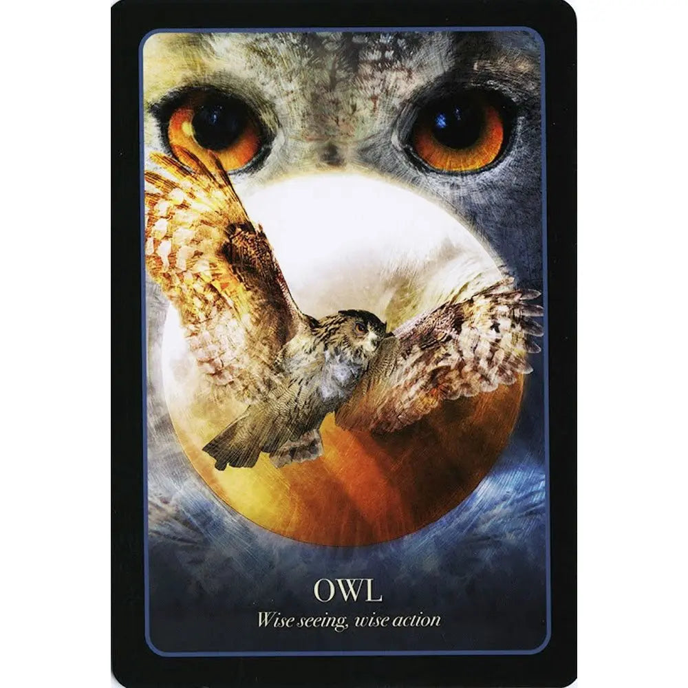 Halloween Oracle Cards - 13 Moons