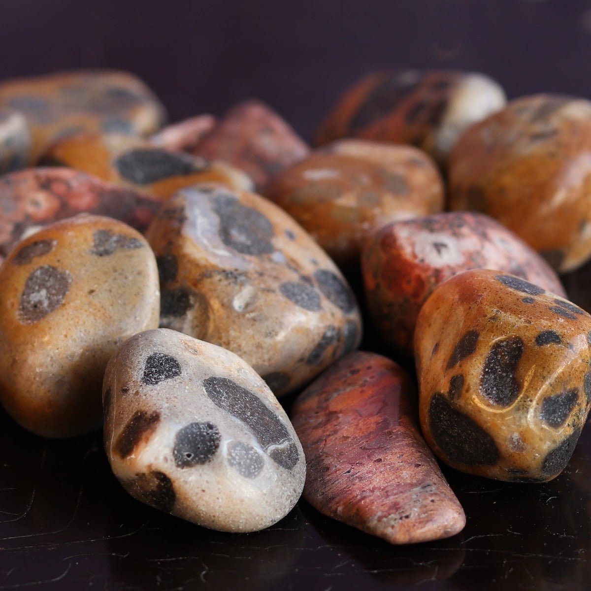 Jasper, Leopard Skin Tumbled Stone - 13 Moons