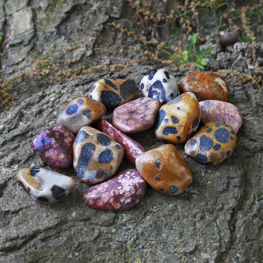 Jasper, Leopard Skin Tumbled Stone - 13 Moons