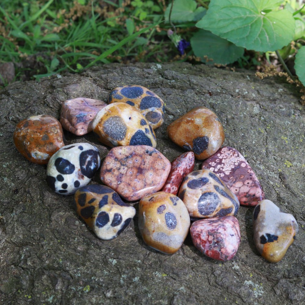 Jasper, Leopard Skin Tumbled Stone - 13 Moons