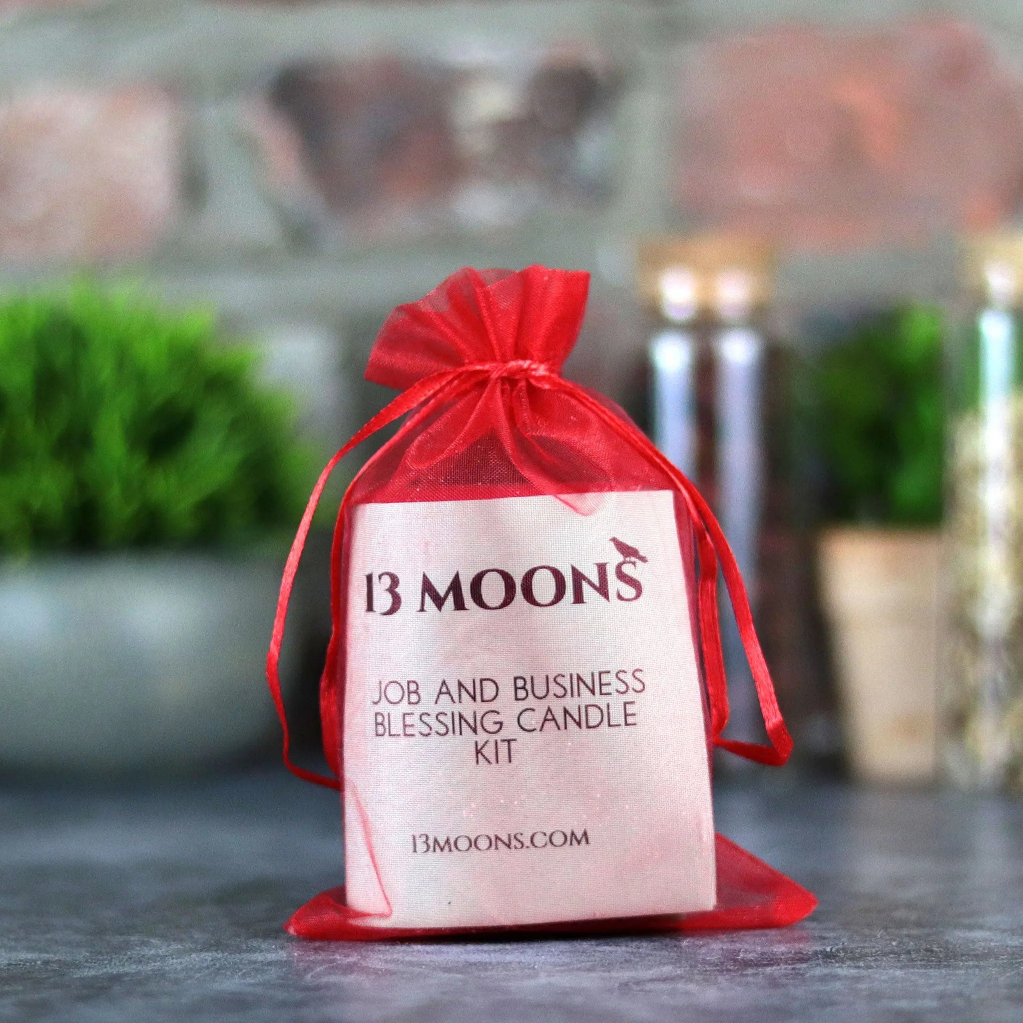 Job and Business Blessing Candle Kit - 13 Moons