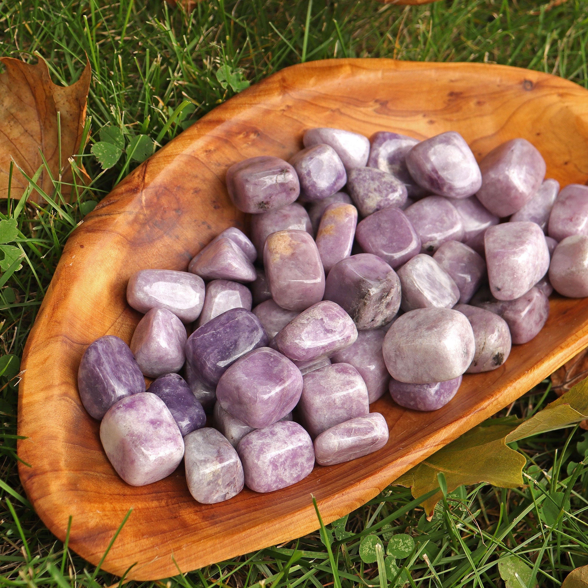 Lepidolite Tumbled Stone 0706 Gemstone Factory