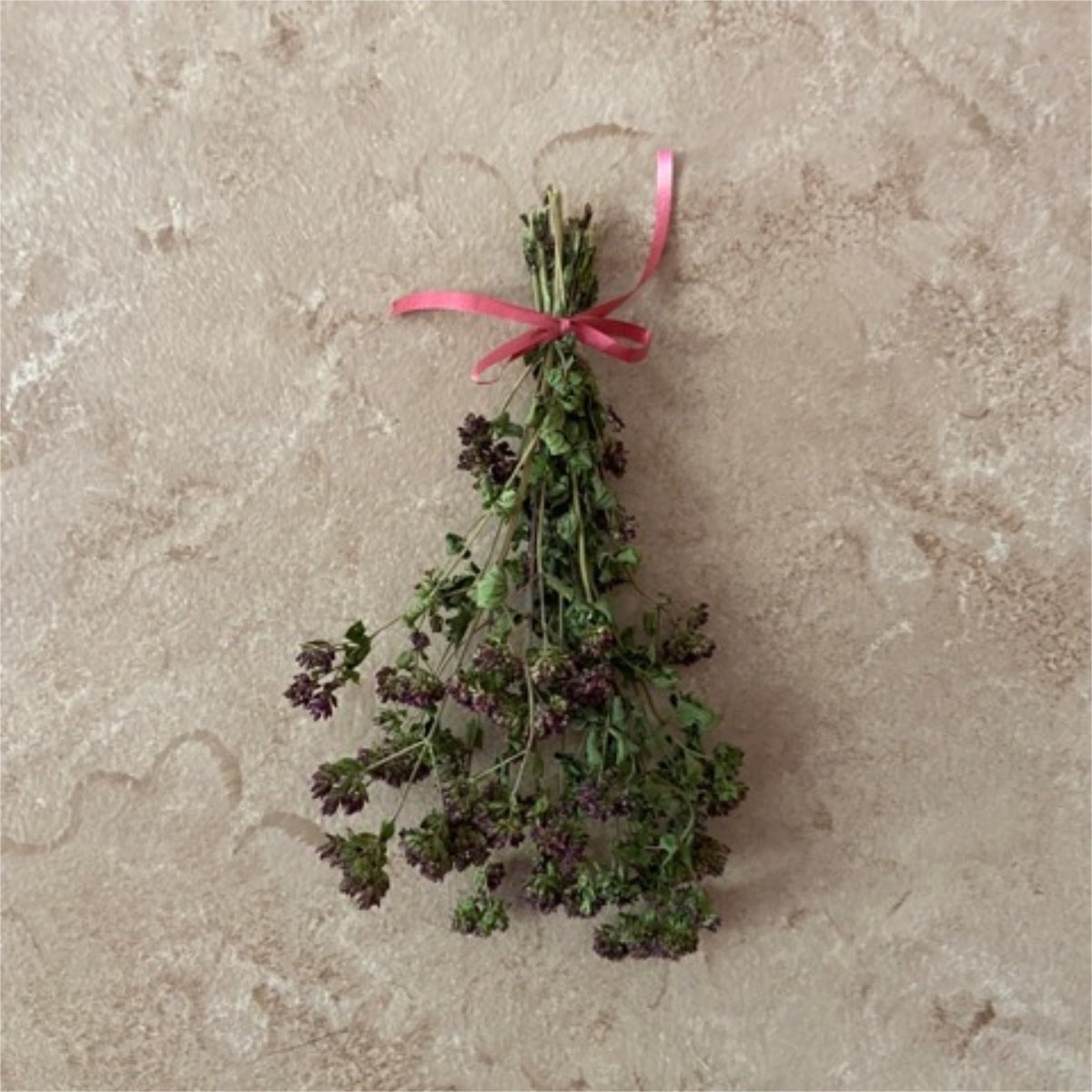 Marjoram Herb Bundle - 13 Moons