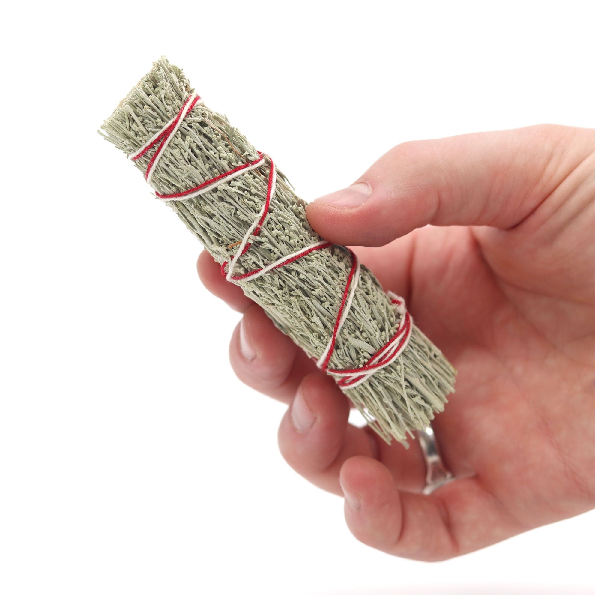 Mini Desert Sage Smudge Stick - 13 Moons