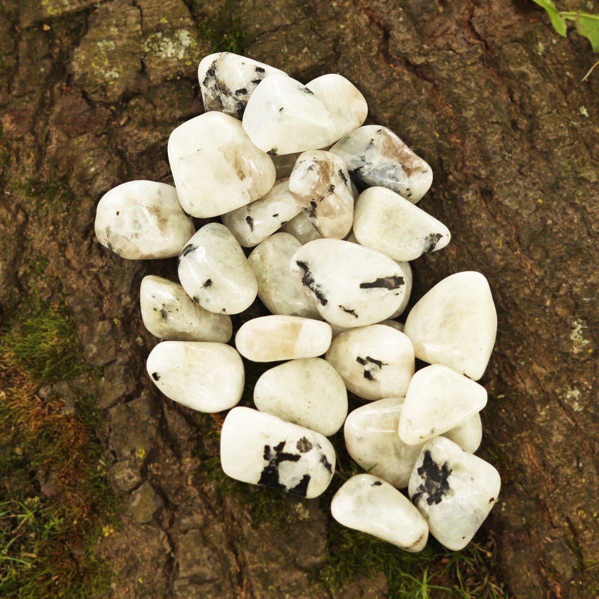 Moonstone, Rainbow Tumbled - 13 Moons