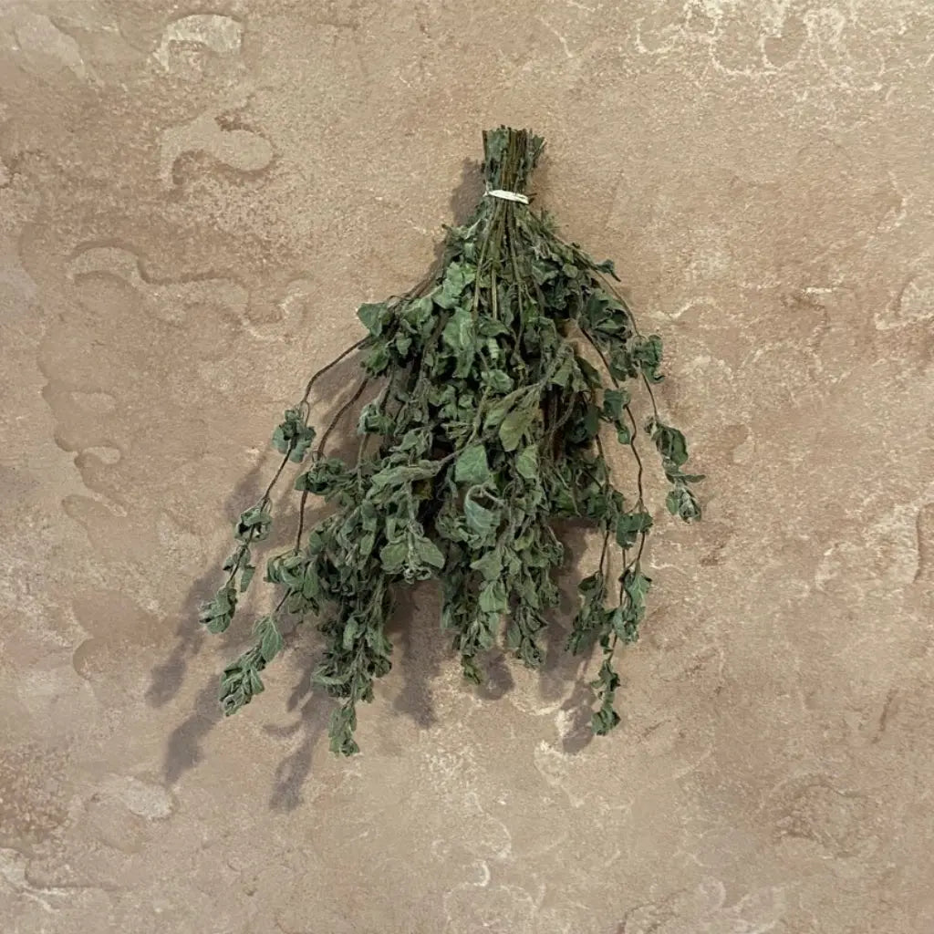 Oregano Bundle - Organic - 13 Moons