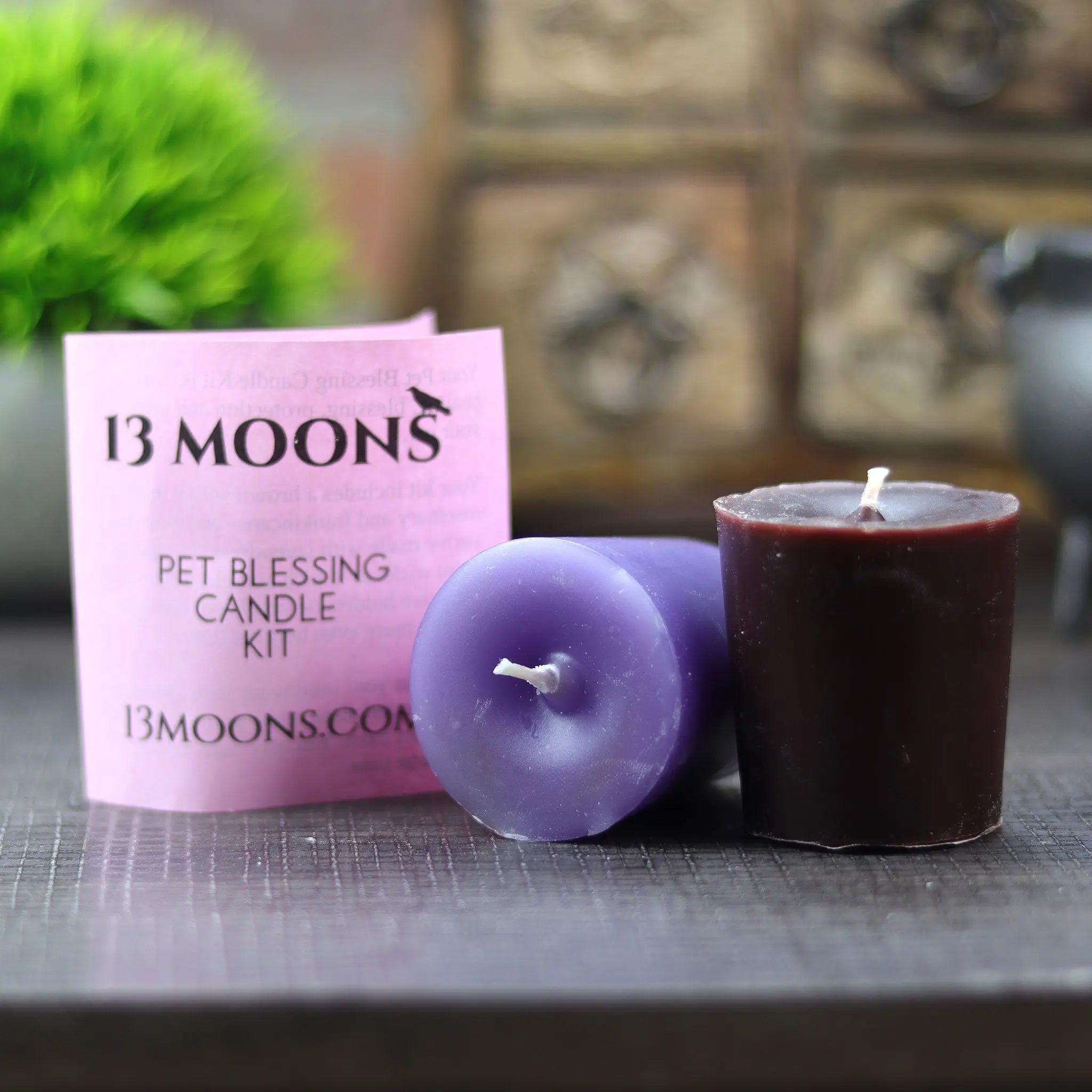 Pet Blessing Candle Kit - 13 Moons