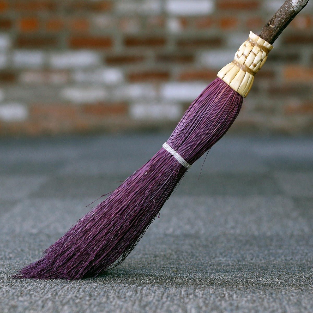 Purple Broom – Medium, Limited Supply - 13 Moons