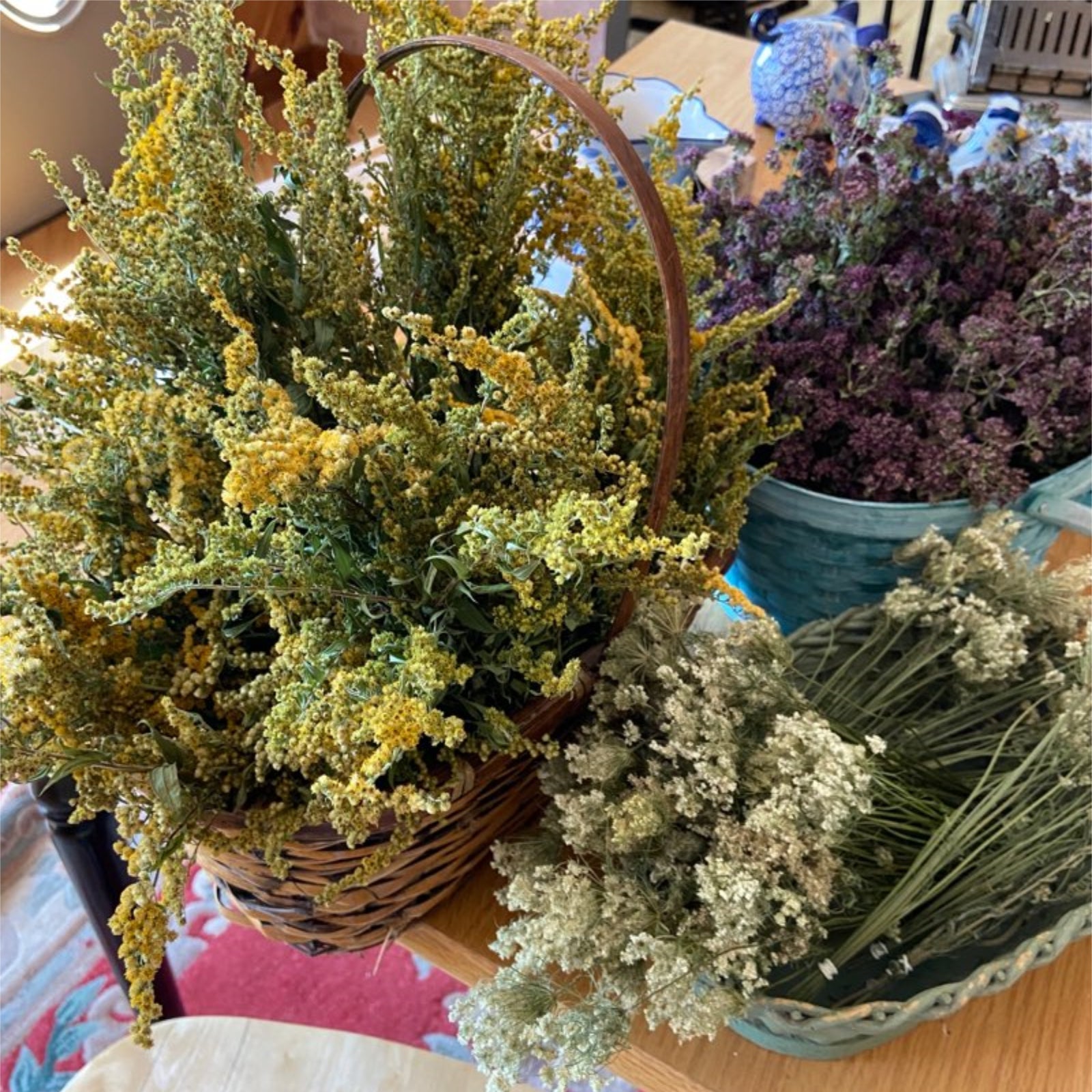 Queen Anne's Lace Bundle in basket with other herbs