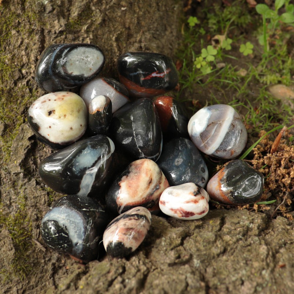 Sardonyx, Black Tumbled Stone - 13 Moons