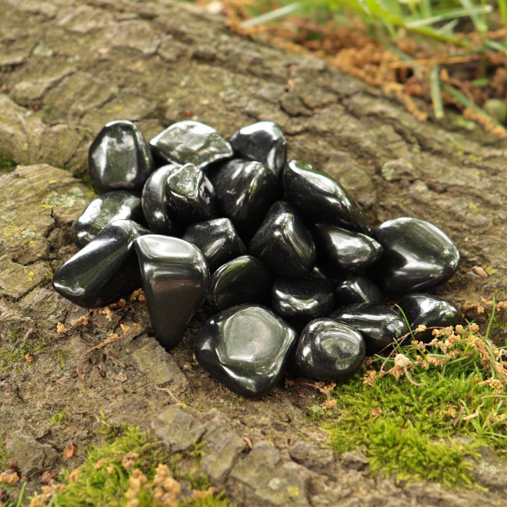 Shungite Tumbled Stone - 13 Moons