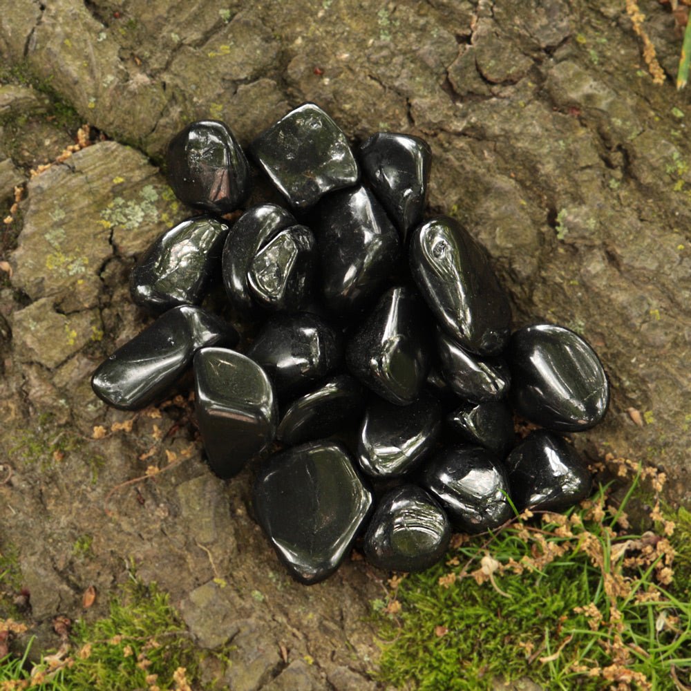 Shungite Tumbled Stone - 13 Moons