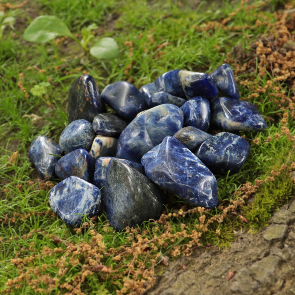 Sodalite Tumbled - 13 Moons