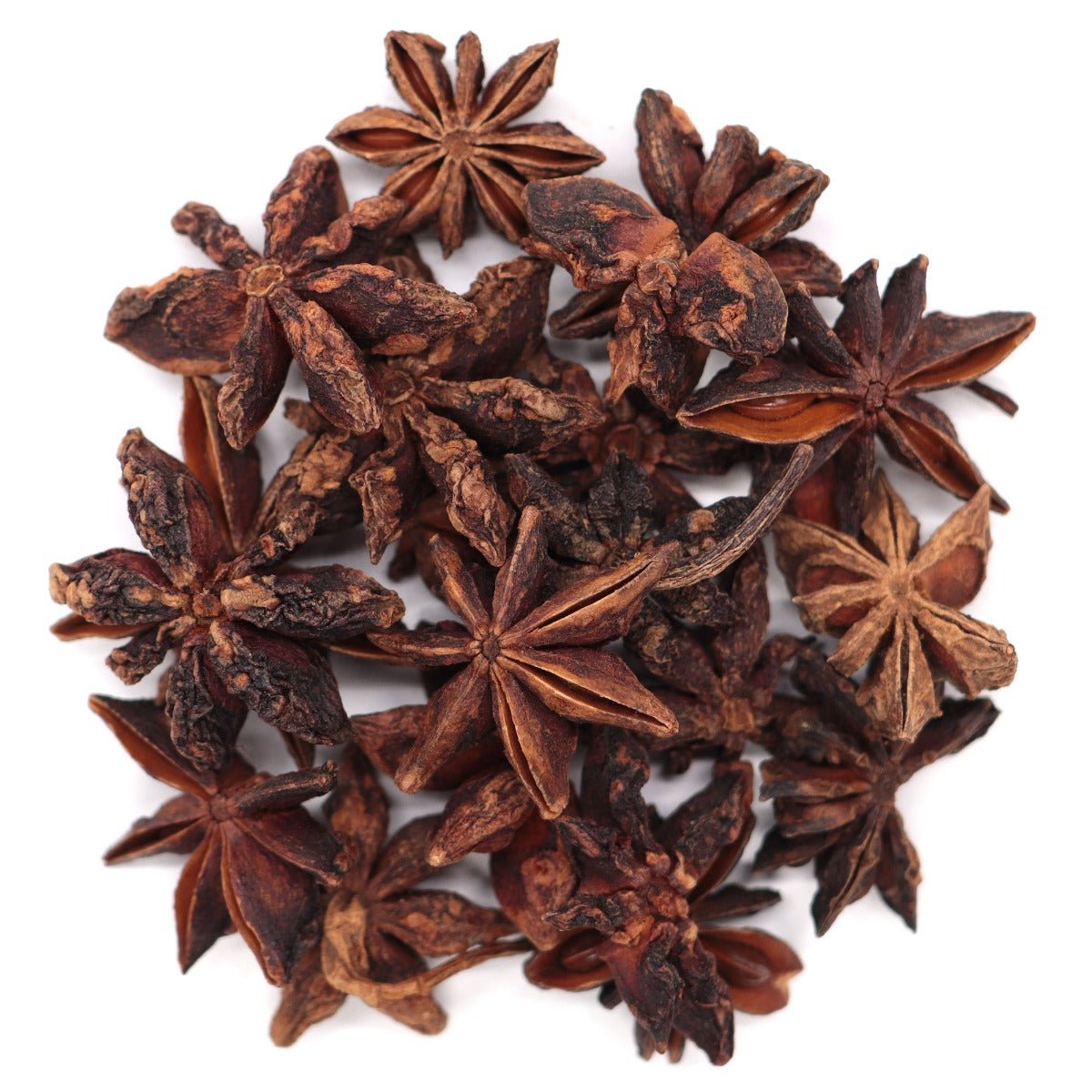 Star Anise - 13 Moons