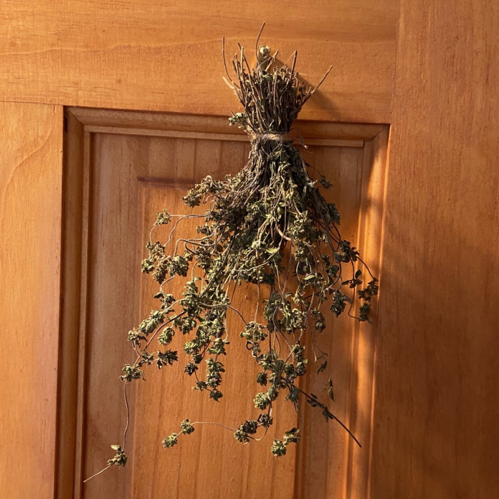 Thyme Herb Bundle - 13 Moons