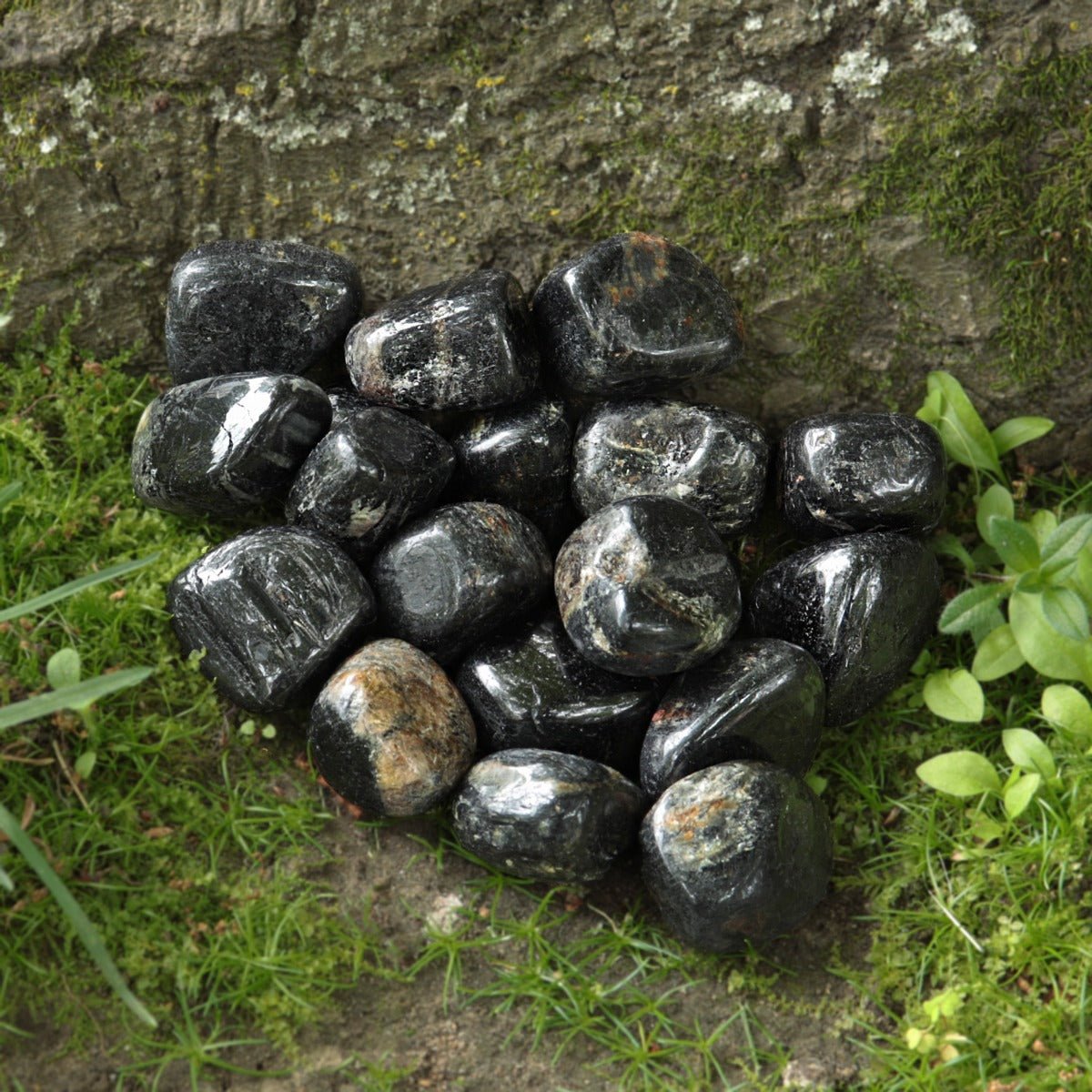 Tourmaline, Black Tumbled - 13 Moons