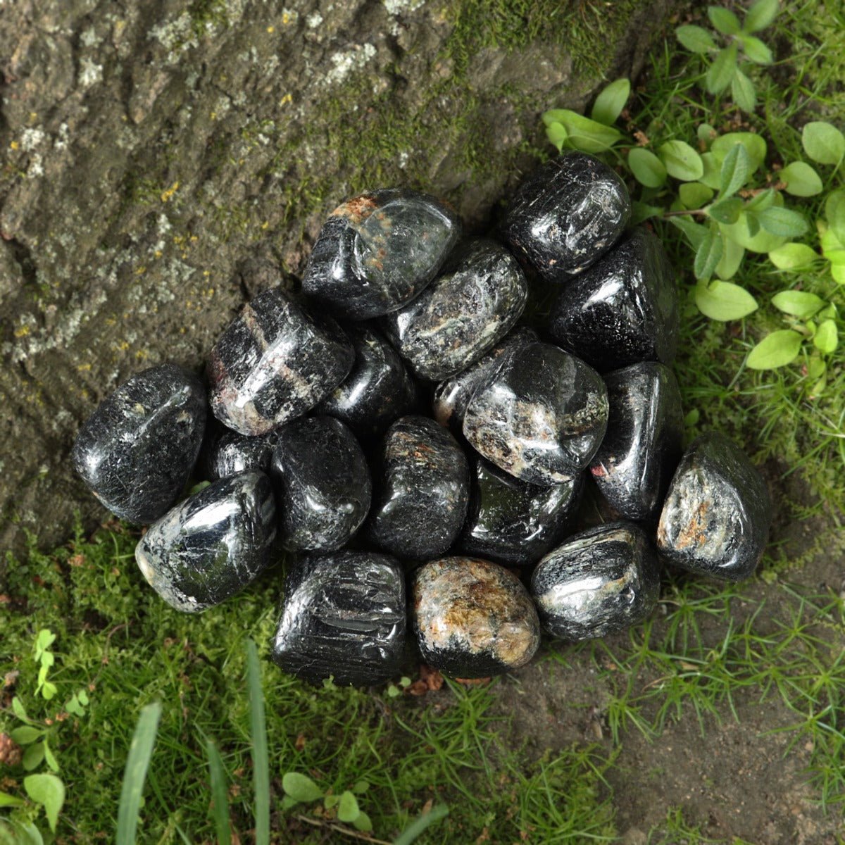 Tourmaline, Black Tumbled - 13 Moons